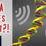 Is jouw DNA een EMF-antenne?.