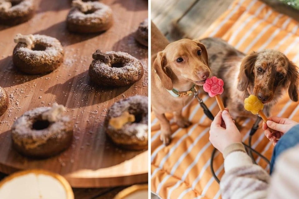 Woofs Entertainment bedacht het concept van een ‘hondbijt’ voor hond en baasje.