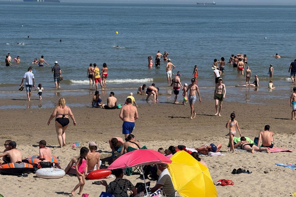 Het incident gebeurde ter hoogte van de King Beach.