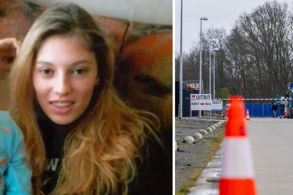 Collage zoektocht naar Heidi De Schepper.jpeg