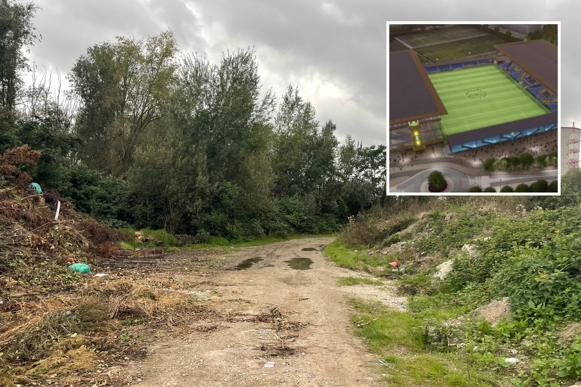 De kap van 237 bomen blijft beroeren: mileuorganisatie tekent beroep aan tegen nieuw stadion van Union op Bempt-site.