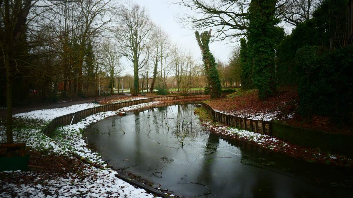 Woensdag tot 20 graden: “Bokkensprongen in het weer zijn funest voor de natuur”.