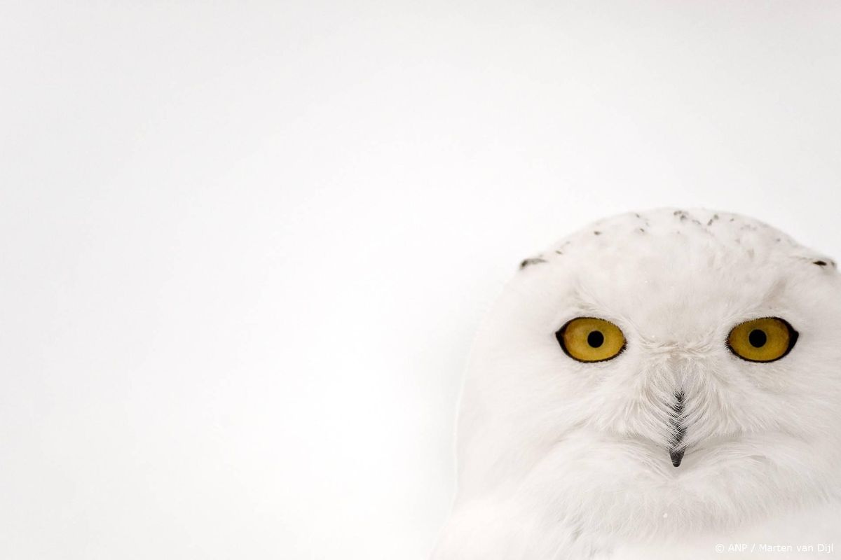 40 soorten toegevoegd aan lijst beschermde wilde dieren.