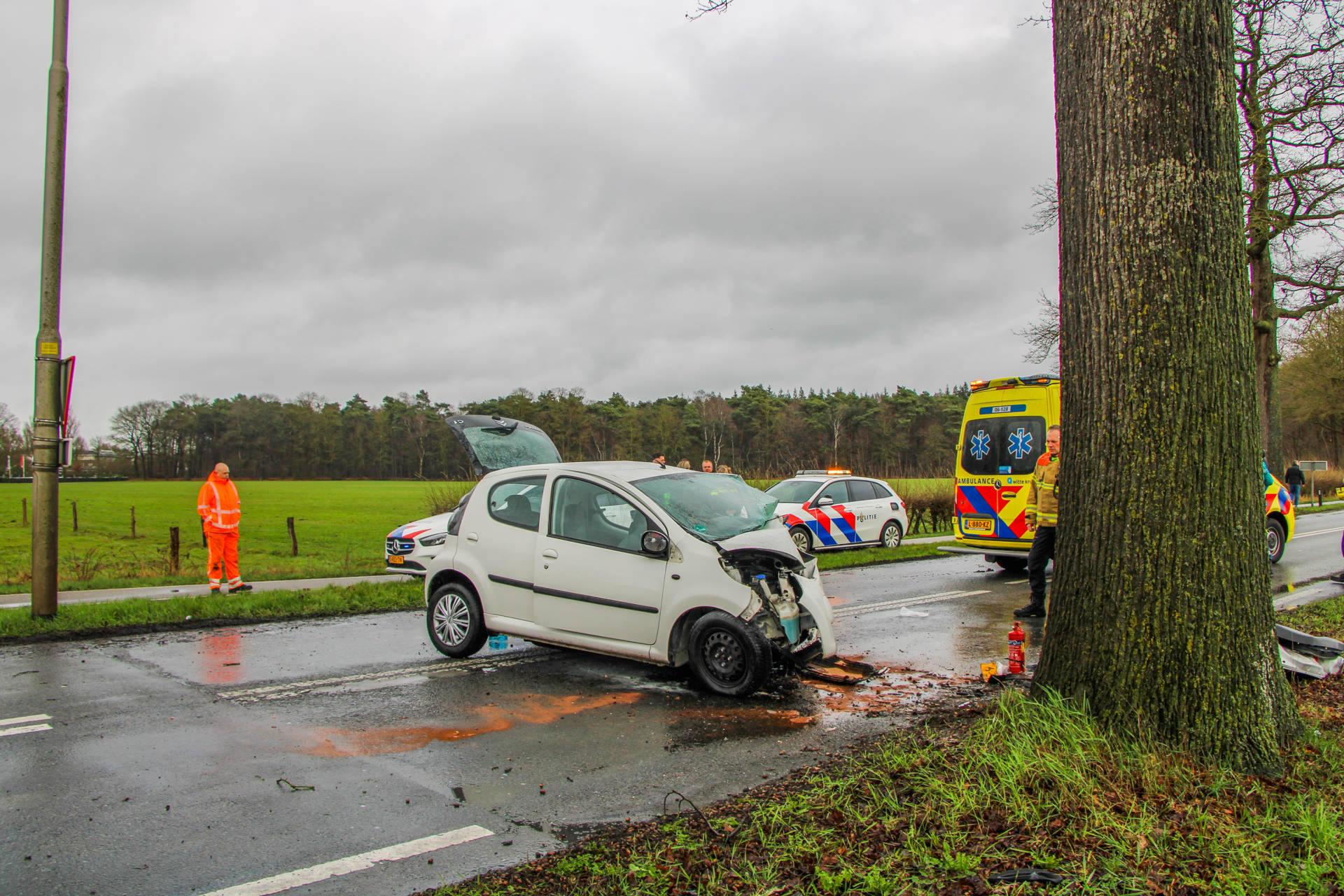 Automobilist gewond na aanrijding met boom