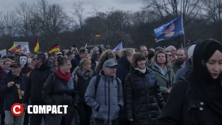 Duizenden bij grote Epstein-demonstratie in Berlijn tegen pedo-elite, media zetten betogers weg als “complotdenkers”.
