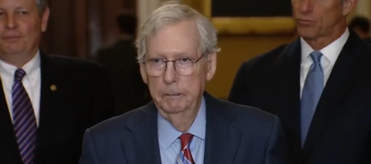 "Mitch McConnell en andere RINOs bekritiseerd als corrupte, egoïstische narcisten na blokkering van wet voor identificatie van kiezers"