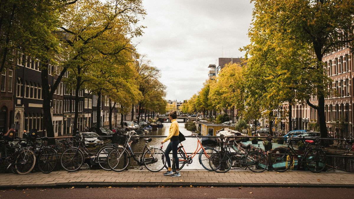 35 overheidsrapporten geanalyseerd met AI: ‘Wat eruit kwam over Nederland wil niemand horen’.