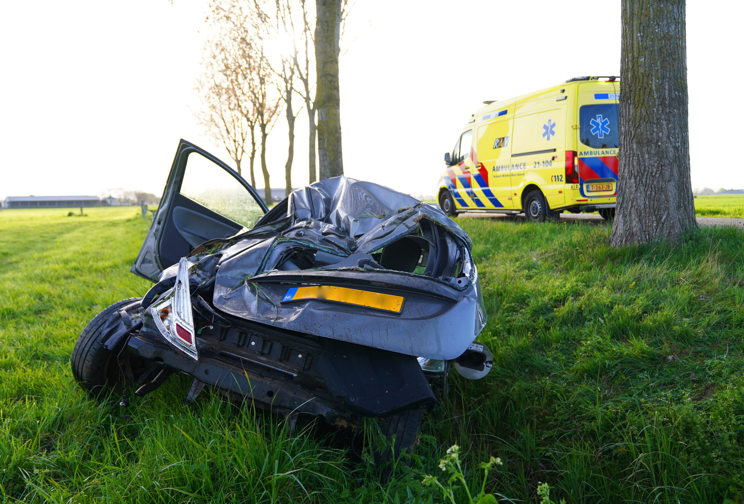 Automobilist botst tegen boom en belandt in greppel