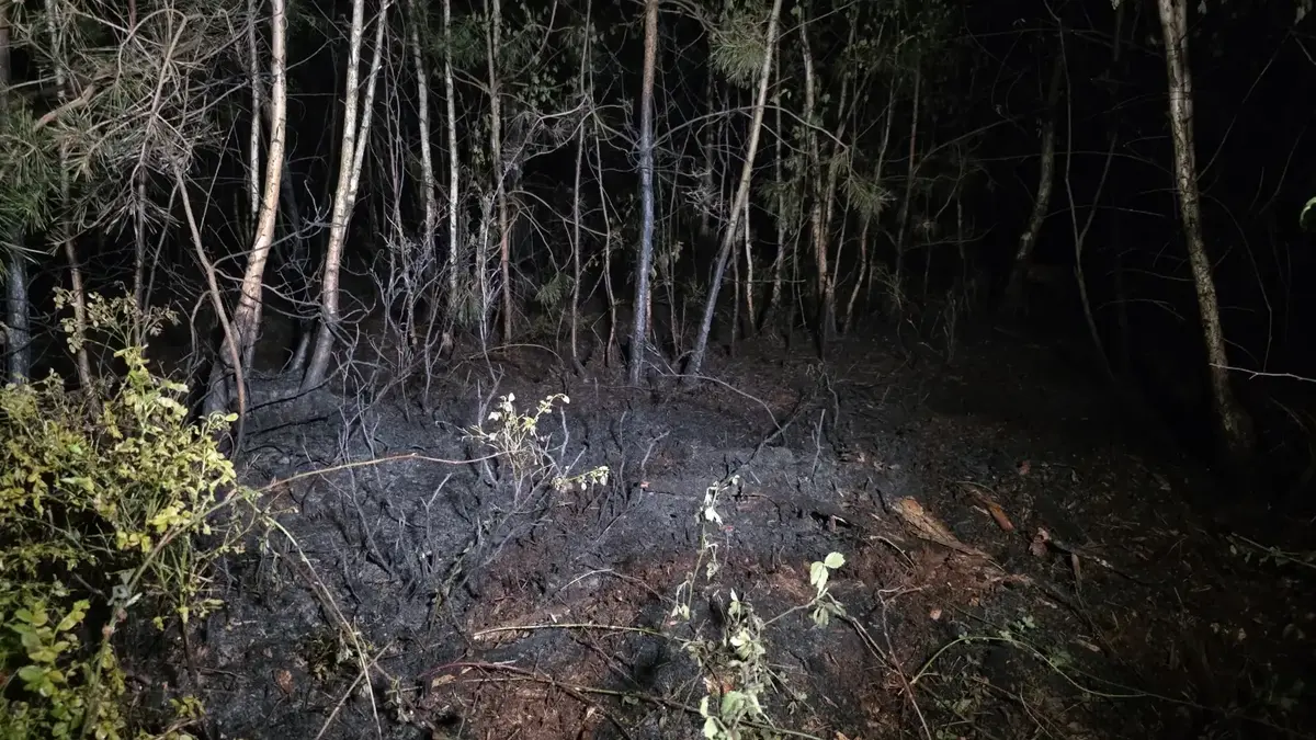 Brandweer urenlang in de weer met bosbrand.