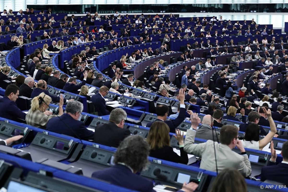 Europarlementariërs mogen zich bij zwangerschap laten vervangen.