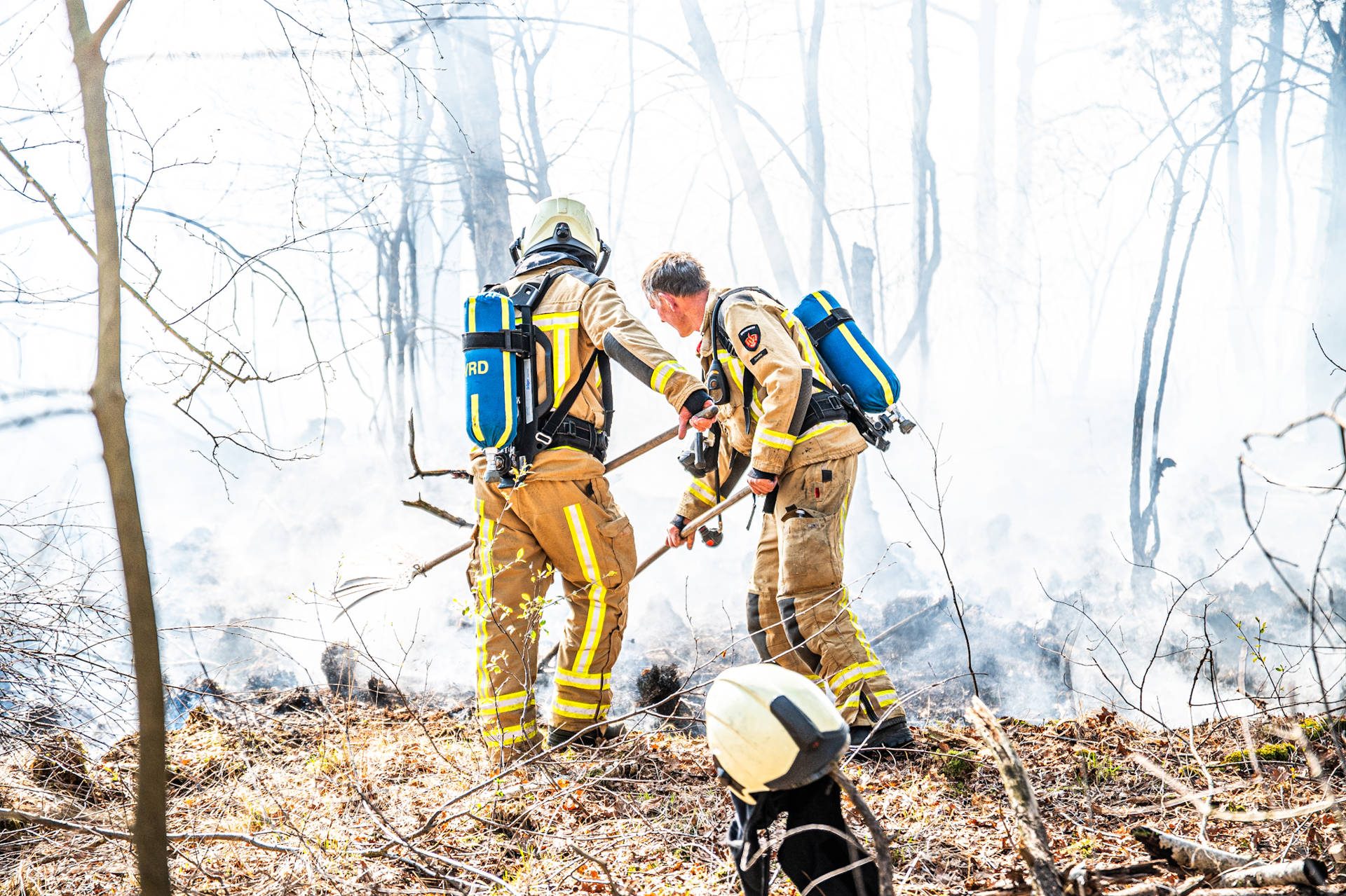 Grote bosbrand onder controle: gebied ter grootte van vier voetbalvelden verwoest - 112 Nederland