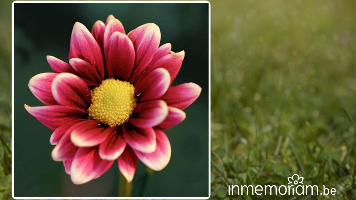 Irma Van der Elst, 95 jaar.