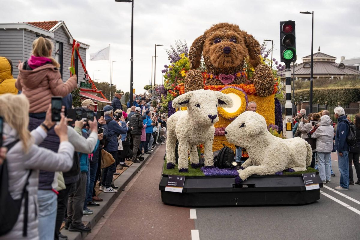 Miljoen kijkers langs de weg bij Bloemencorso Bollenstreek.