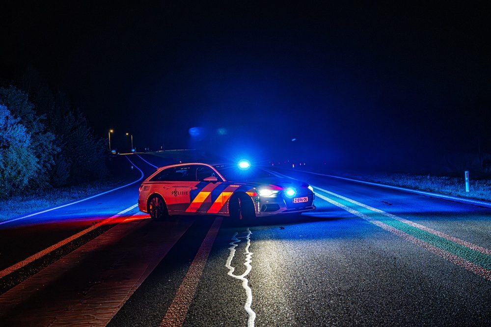 Ree overleden na botsing met auto