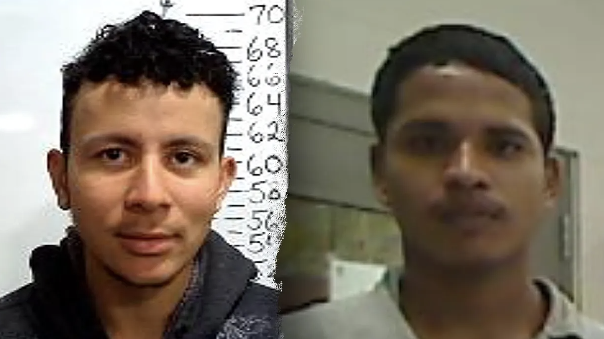 Trump-administratie onthult en bekritiseert toevluchtsoord graafschap voor het in gevaar brengen van Amerikaanse levens nadat illegale immigranten die het vrijliet, jonge moeder vermoorden.