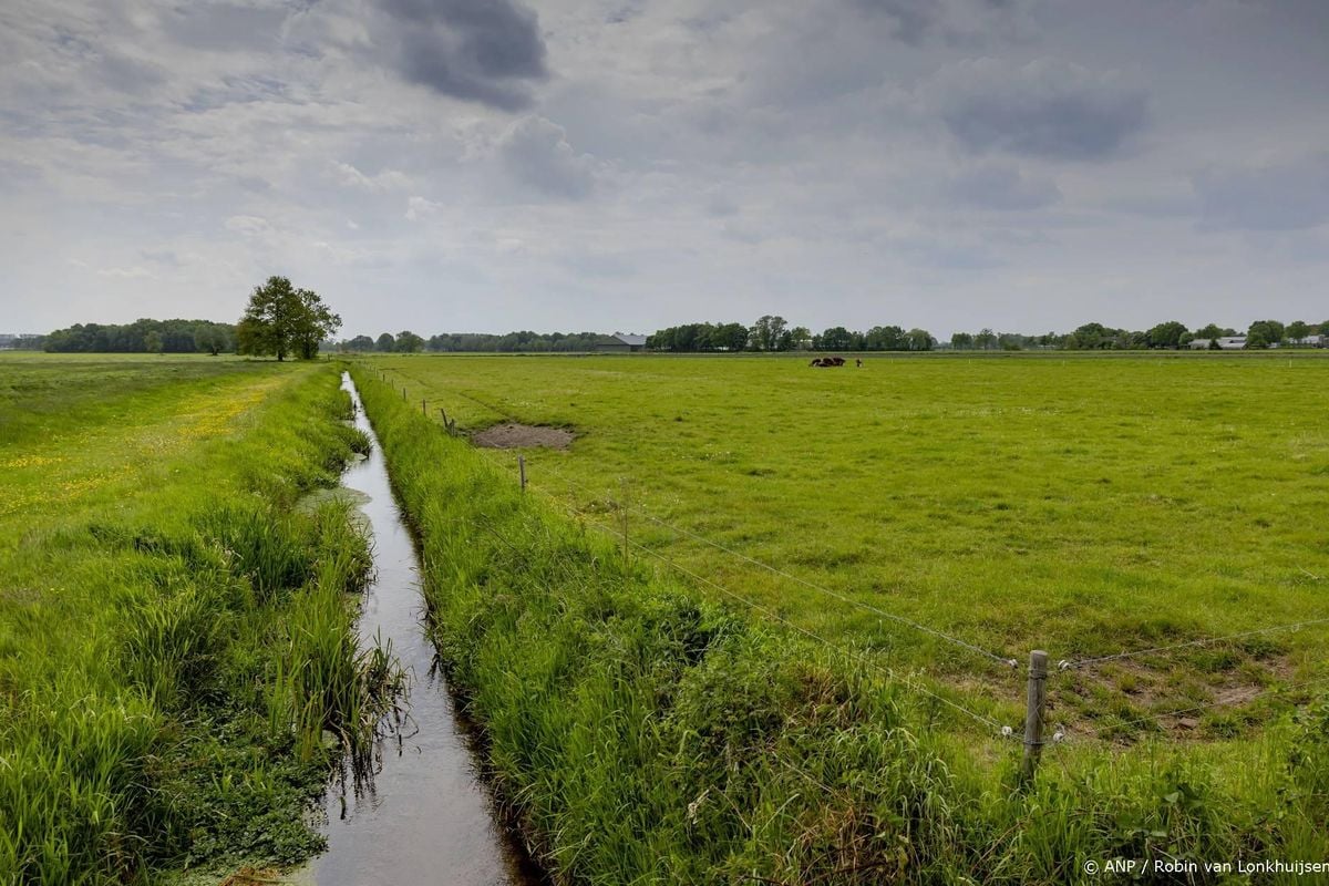 Verbod om water uit sloten te halen in delen Brabant om droogte.