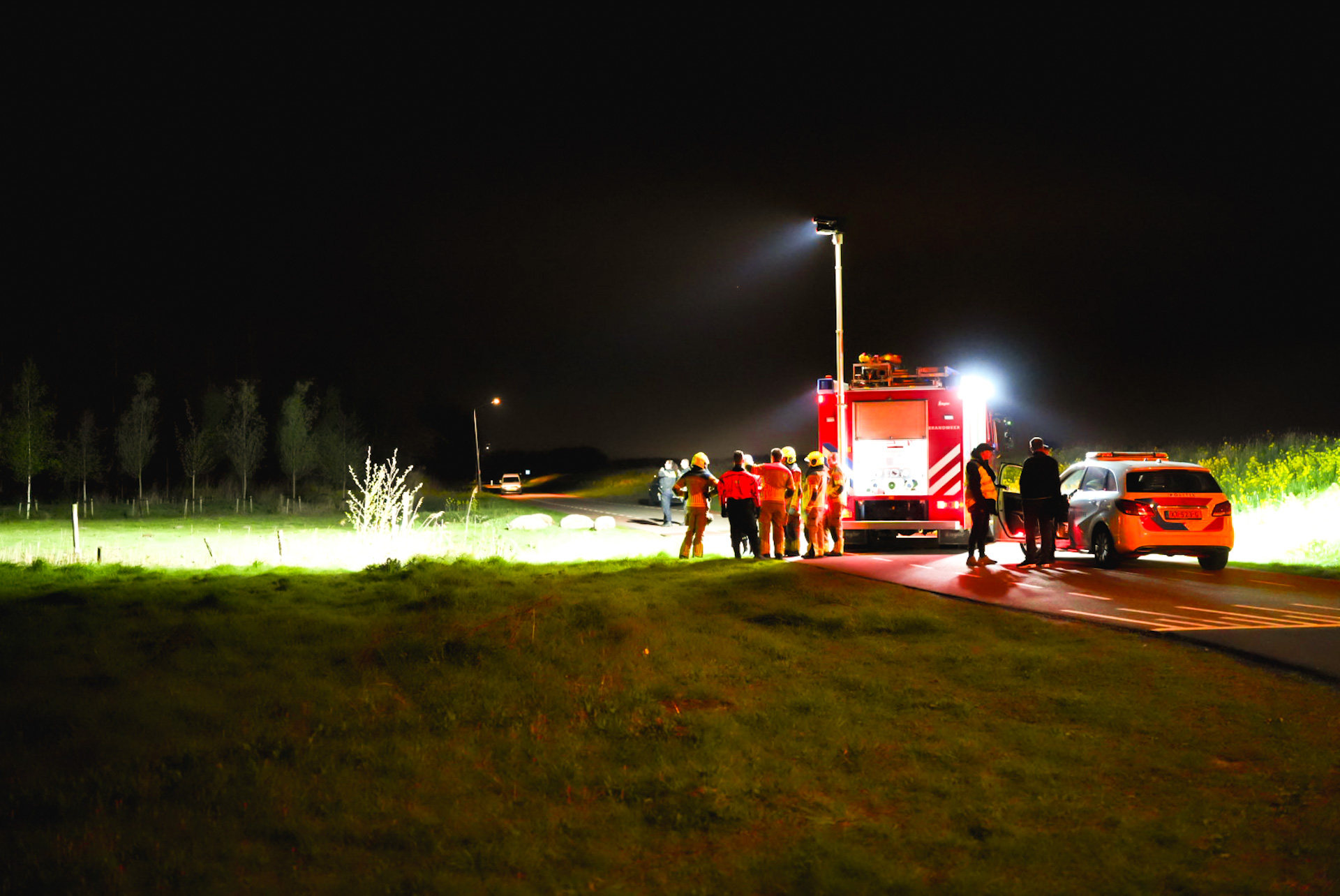 Vier losgebroken schapen dood na aanrijding, dader gevlucht