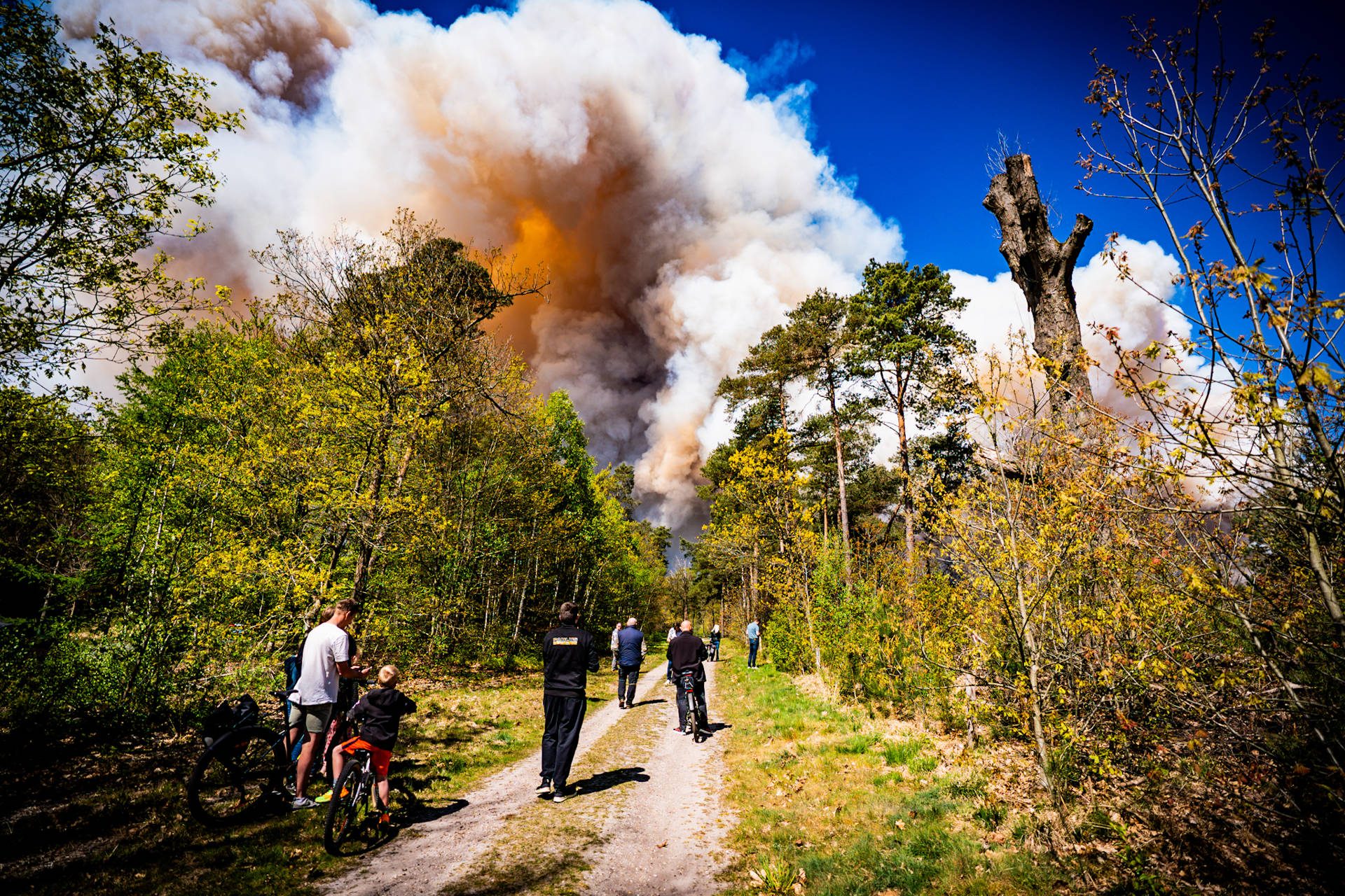 Natuurbrand ’t Harde veroorzaakt door militaire oefening met explosieven - 112 Nederland