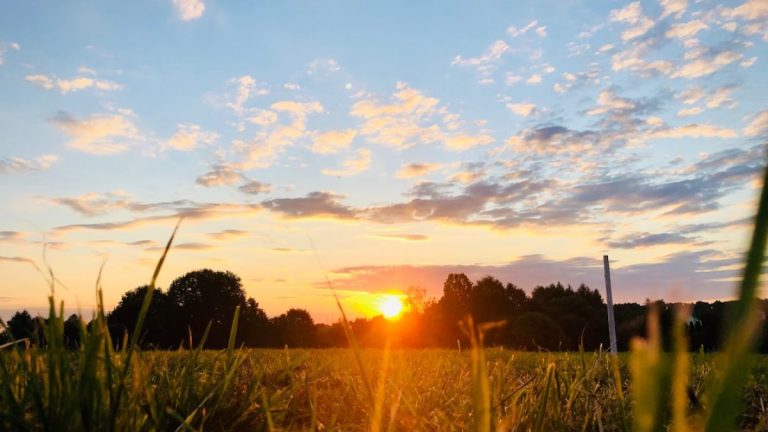 Ochtendzonlicht energie: hoe 5 minuten buiten je hele dag verandert.