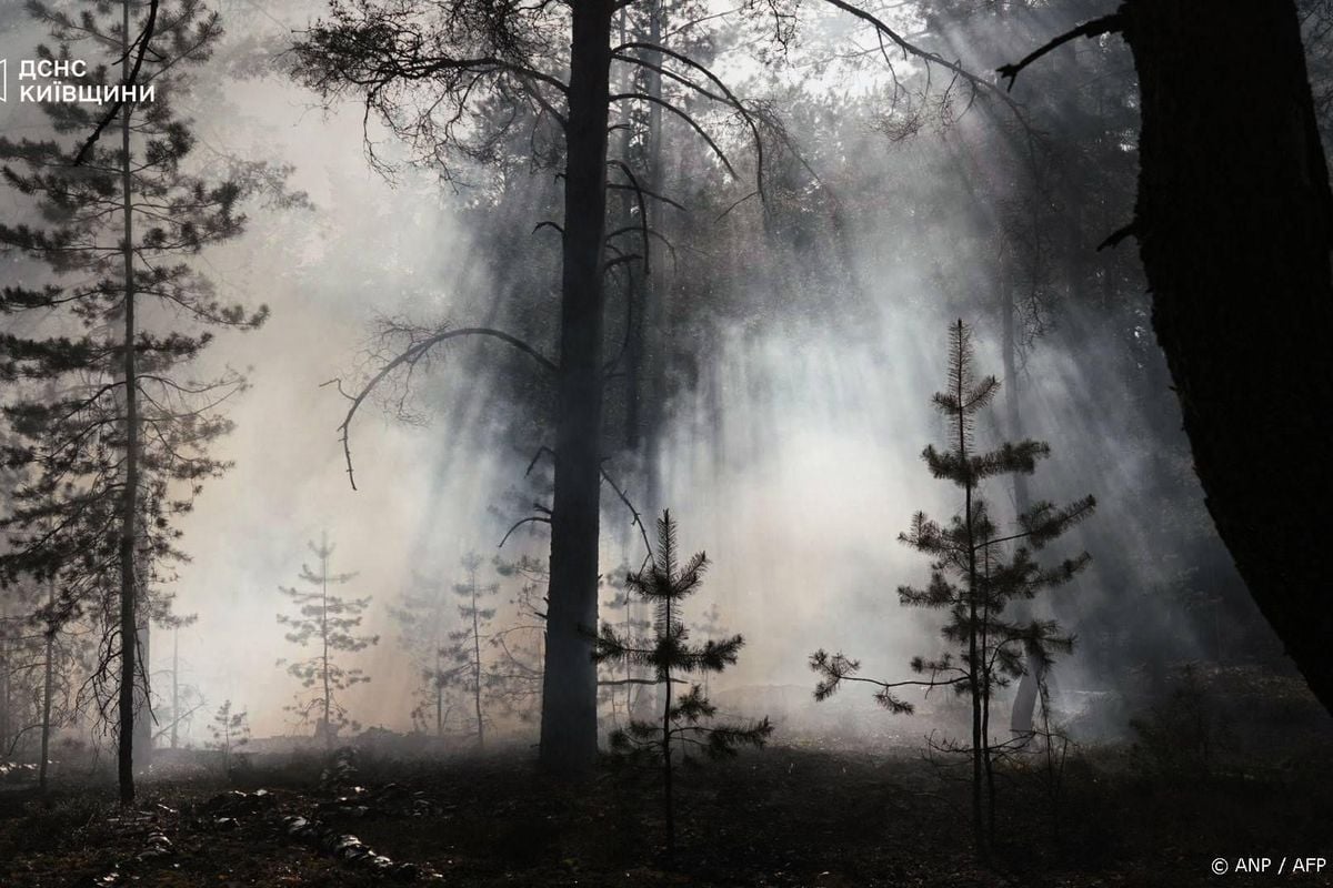 Oekraïne meldt brand bij Tsjernobyl na dronecrash.