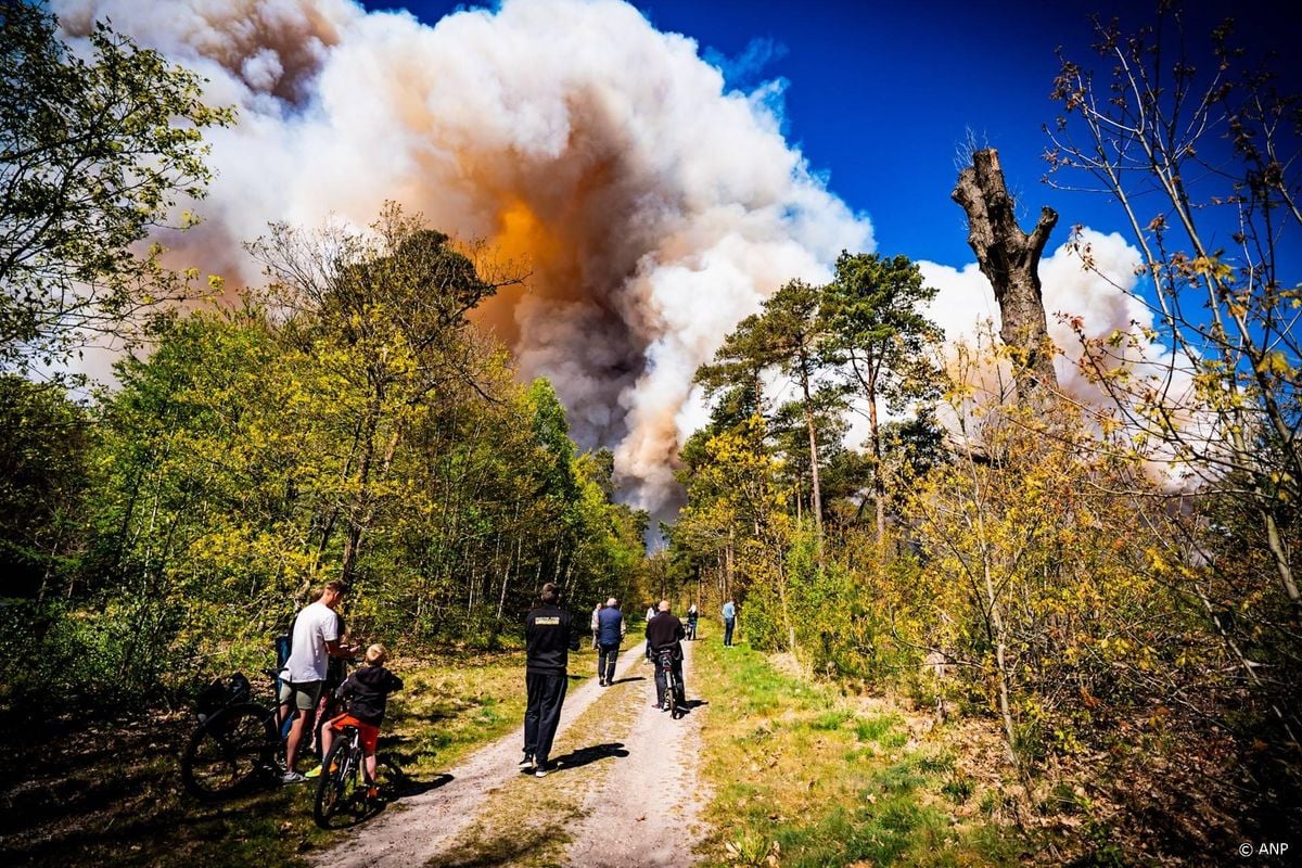 Sein brand meester gegeven voor natuurbrand bij 't Harde.