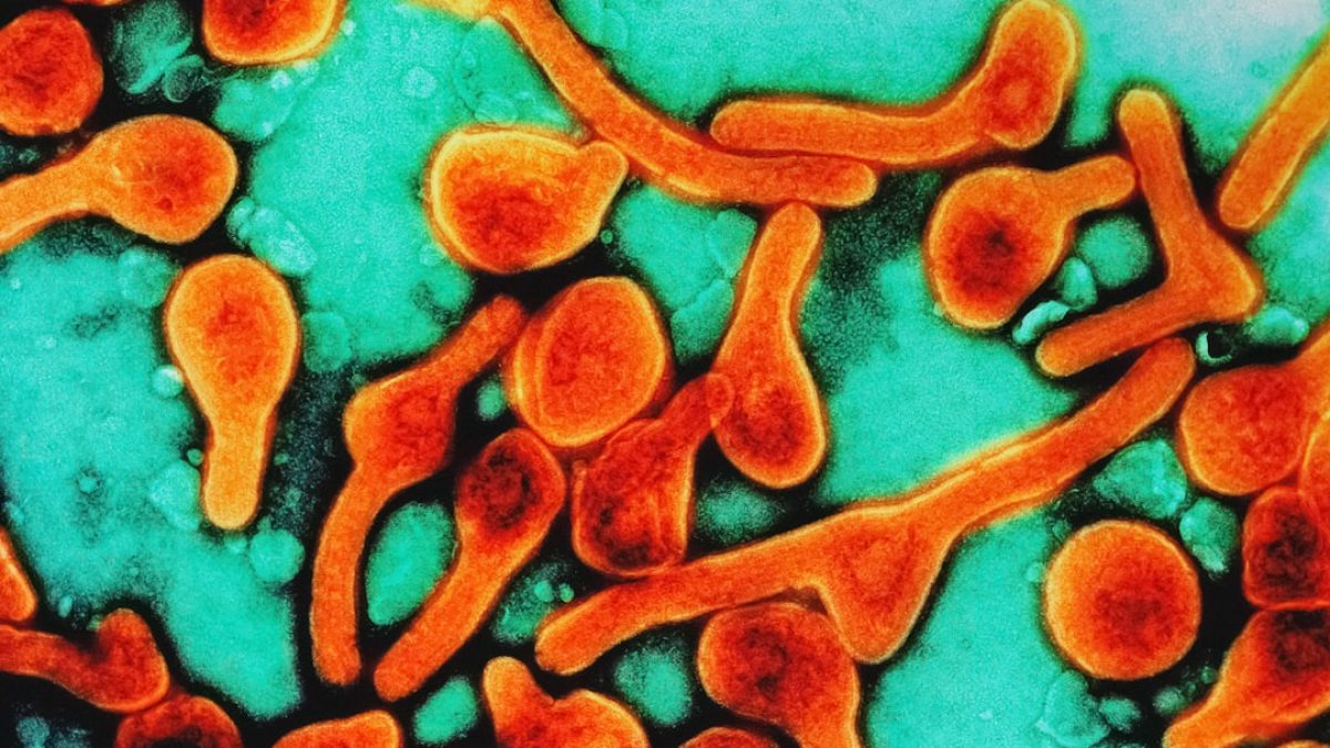 Viroloog die promoveerde bij Ab Osterhaus betrapt op het smokkelen van dodelijke virussen naar de VS, FBI doet onderzoek.