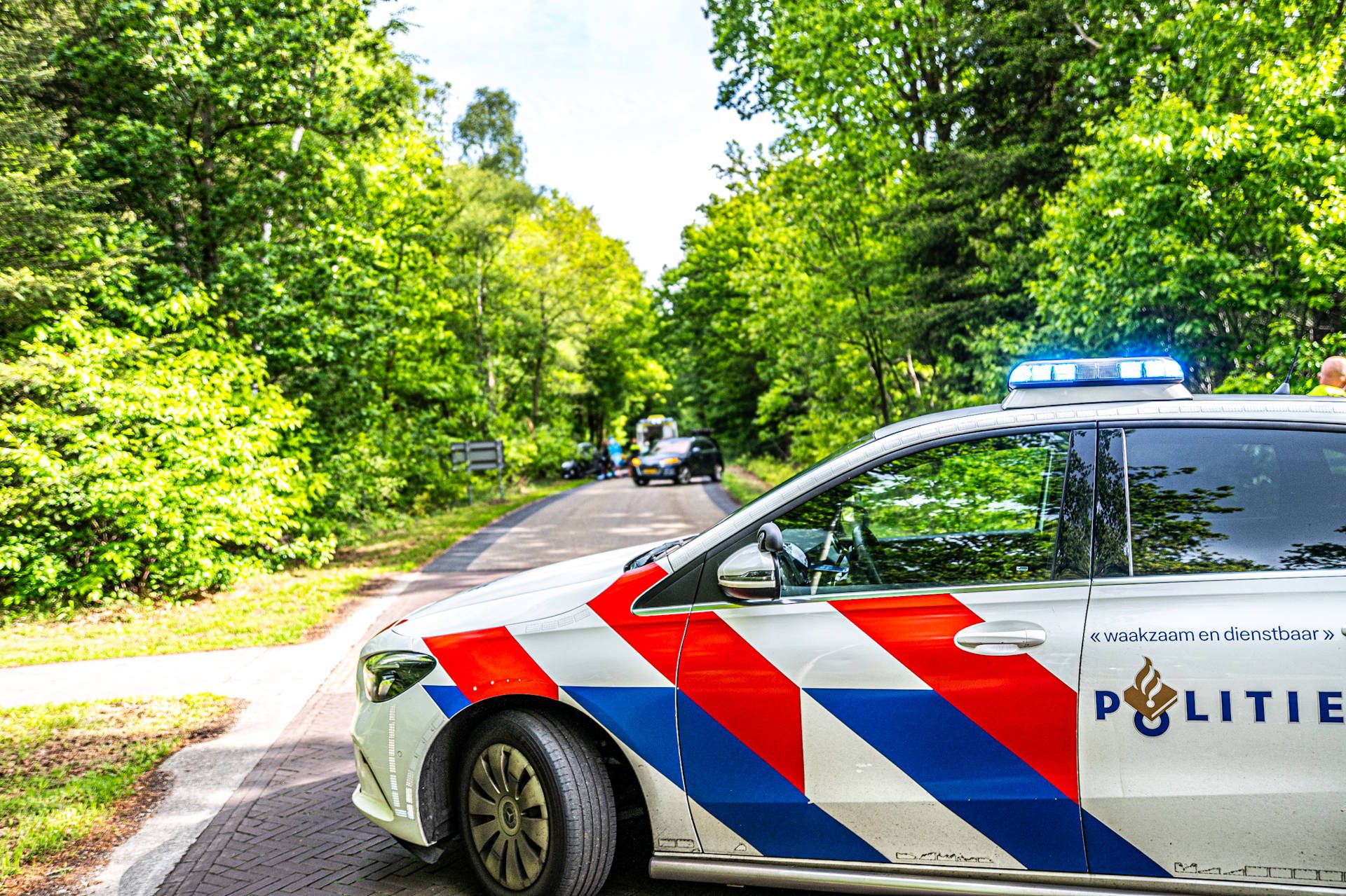 Vrouw ernstig gewond na botsing tegen boom