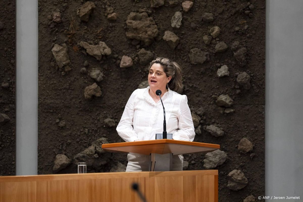 Kamer wil weten wat kabinet doet tegen buitenlandse beïnvloeding.