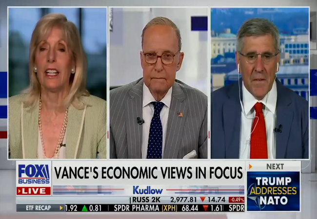 Bekijk: Fox News RINOs bespotten JD Vance, beweren dat hij het kapitalisme niet begrijpt.