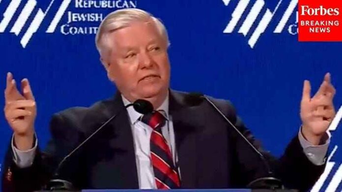 Lindsey Graham-Foc