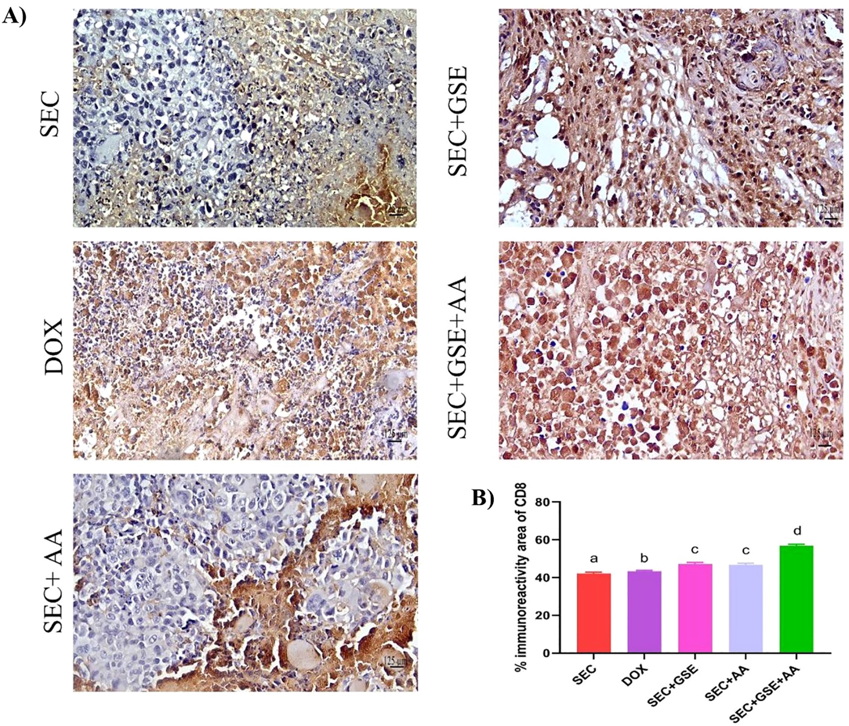 Vitamine C en druivenpitextract presteren beter dan zware chemo — waarom hoor je hier niets over? 3 https www.frontiersin.org files Articles 1635071 xml images fimmu 16 1635071 g011