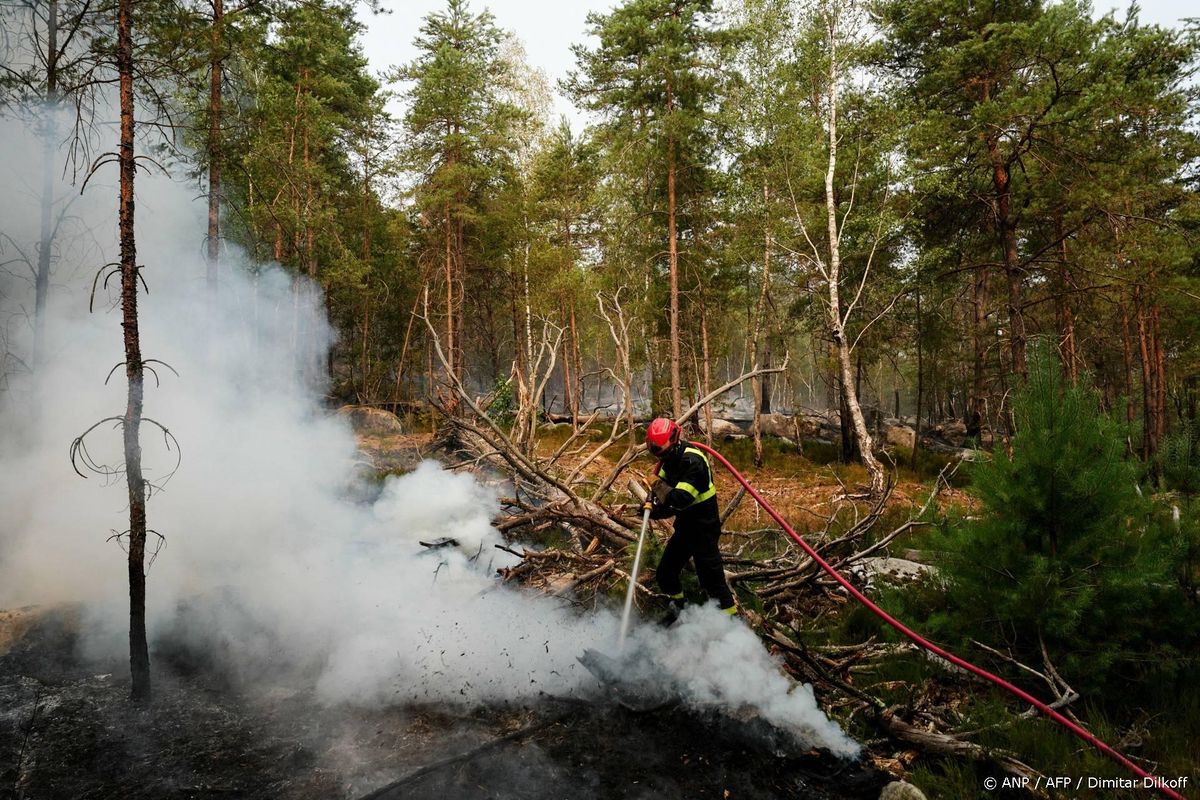 Zes aanhoudingen om bosbrand bij Fontainebleau.