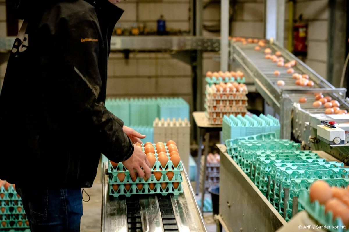 Boelema: nog niets onomkeerbaars gebeurd met vergunningen.
