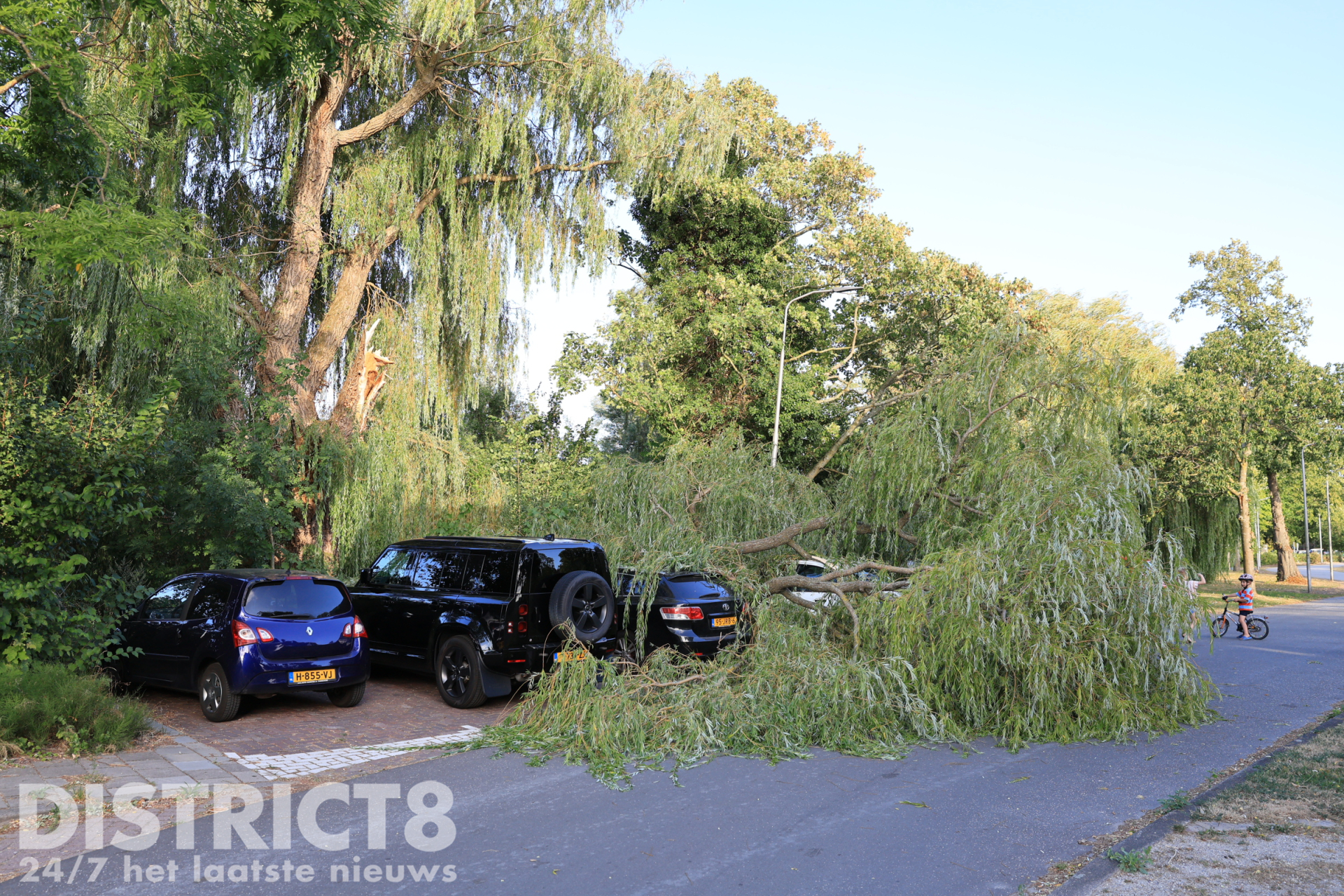 Grote tak van wilg breekt af en valt op vier geparkeerde auto’s J.C. van Markenweg Delft
