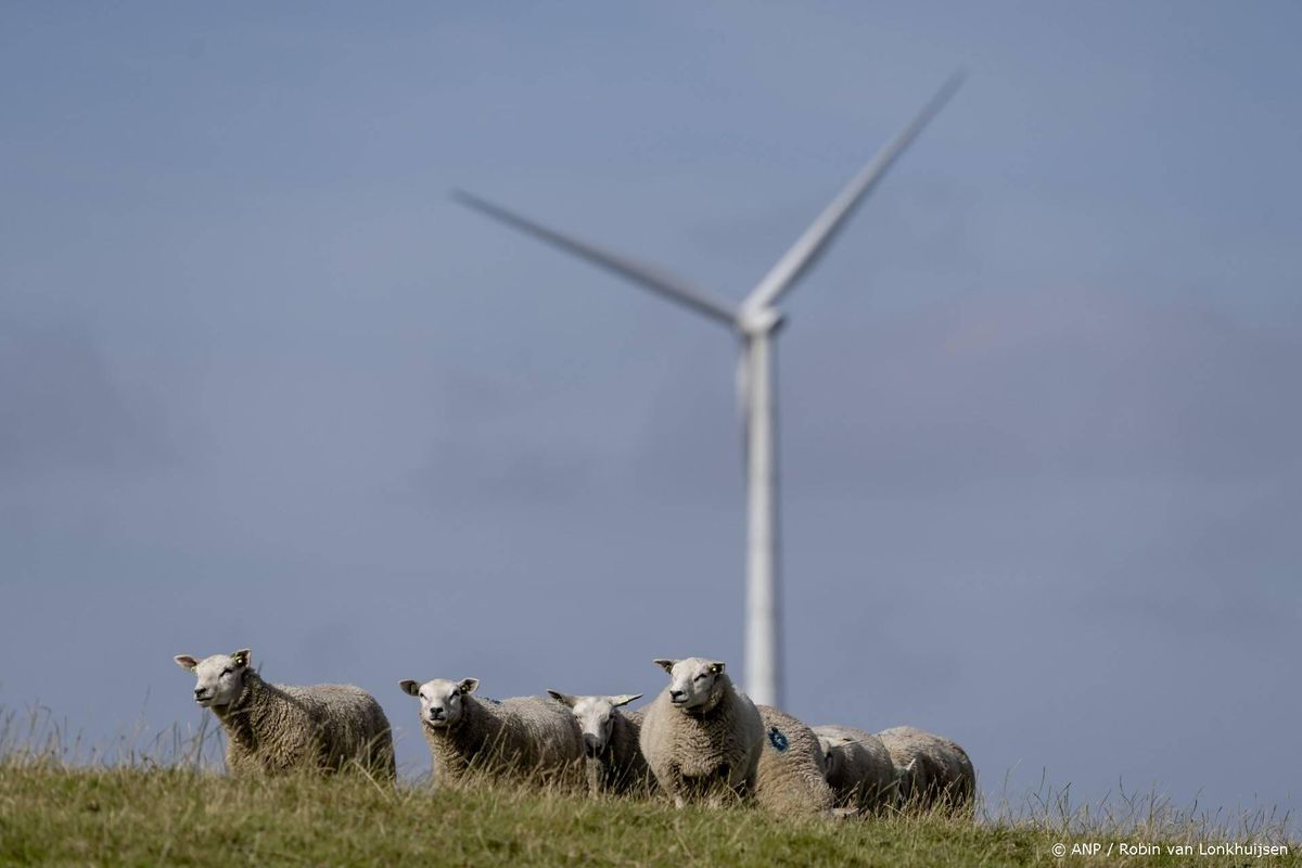 Meer waterschappen weren schapen van droge dijken.