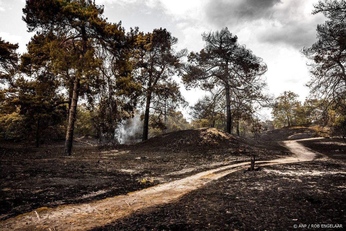 Natuurgebied bij Venray blijft na brand voorlopig gesloten.