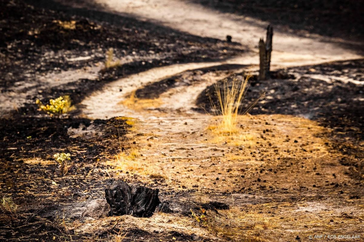 Noodverordening om brand Venray nog zeker tot donderdagochtend.