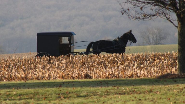 168 kinderen, nul chronische ziektes: de Amish leggen een bom onder het vaccinatiedebat.