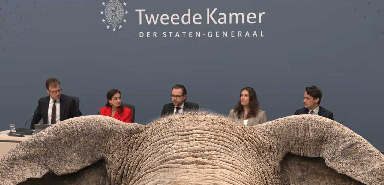 PEC: Mark Rutte en de rest, 7 sept 2026. De sluitsteen.