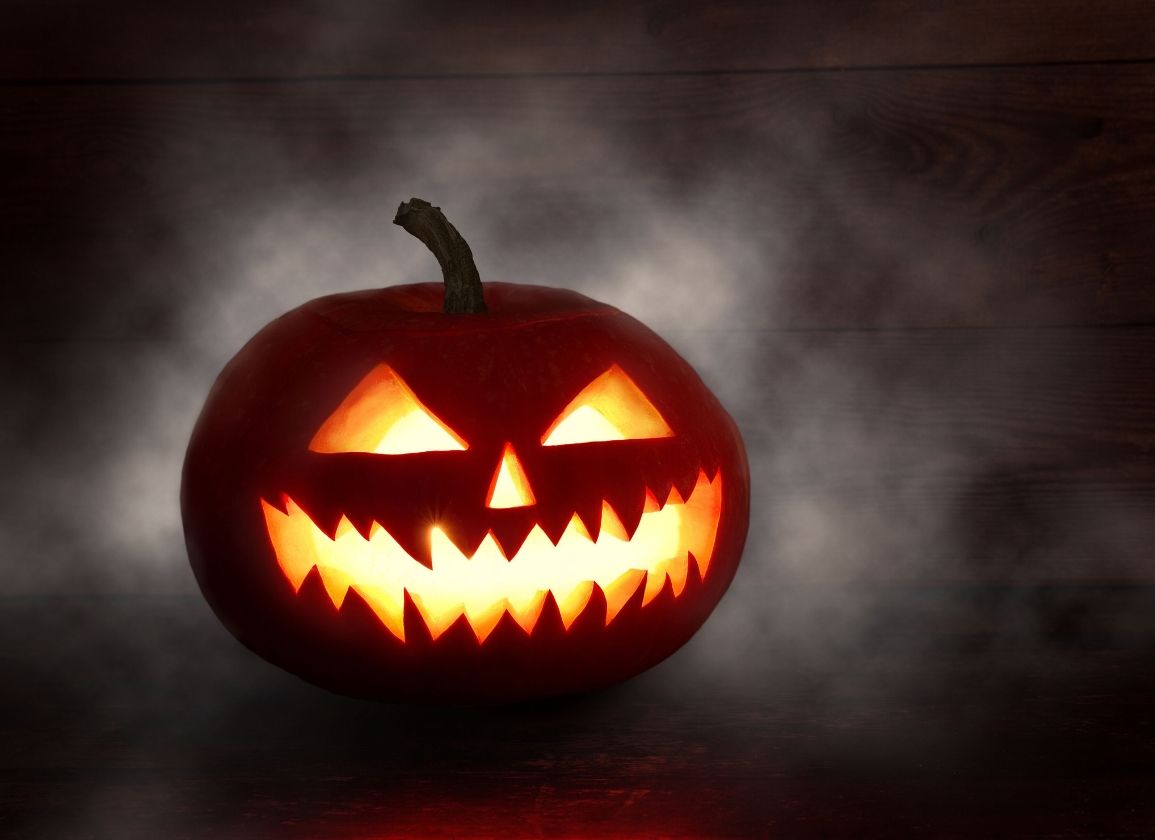 Halloween is gered: pompoenen niet bedreigd door klimaatverandering