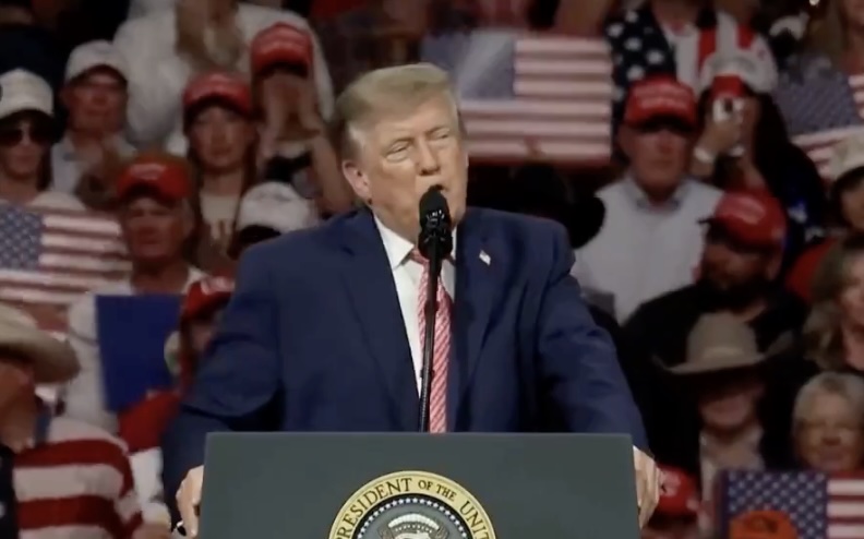 Trump bekritiseert RINOs bij Fox News voor heimelijk helpen van Democraten en schaden van Republikeinen in aanloop naar belangrijke tussentijdse verkiezingen.